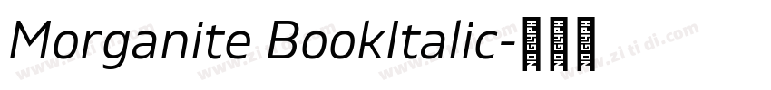 Morganite BookItalic字体转换 Morganite BookItalic字体转换